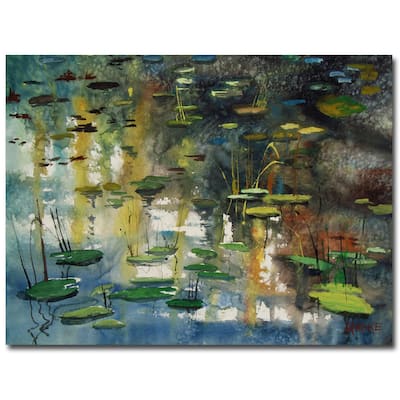 Ryan Radke 'Faces in the Pond' Canvas Art
