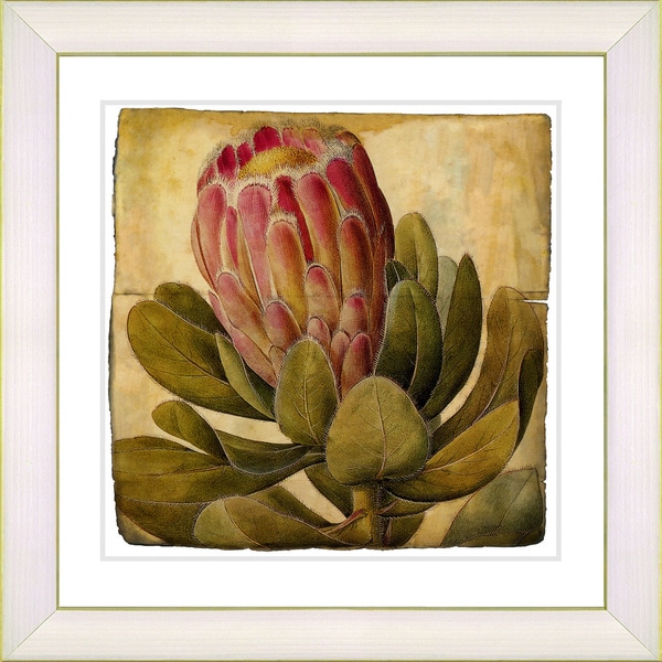 Studio Works Modern 'Vintage Antique Botanical #57' Framed Print