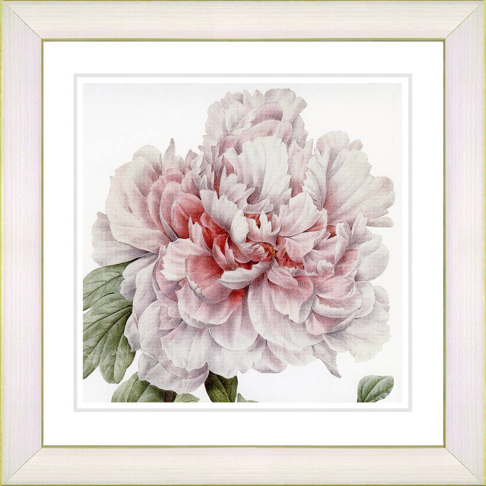 Studio Works Modern 'Vintage Botanical #54' Framed Print