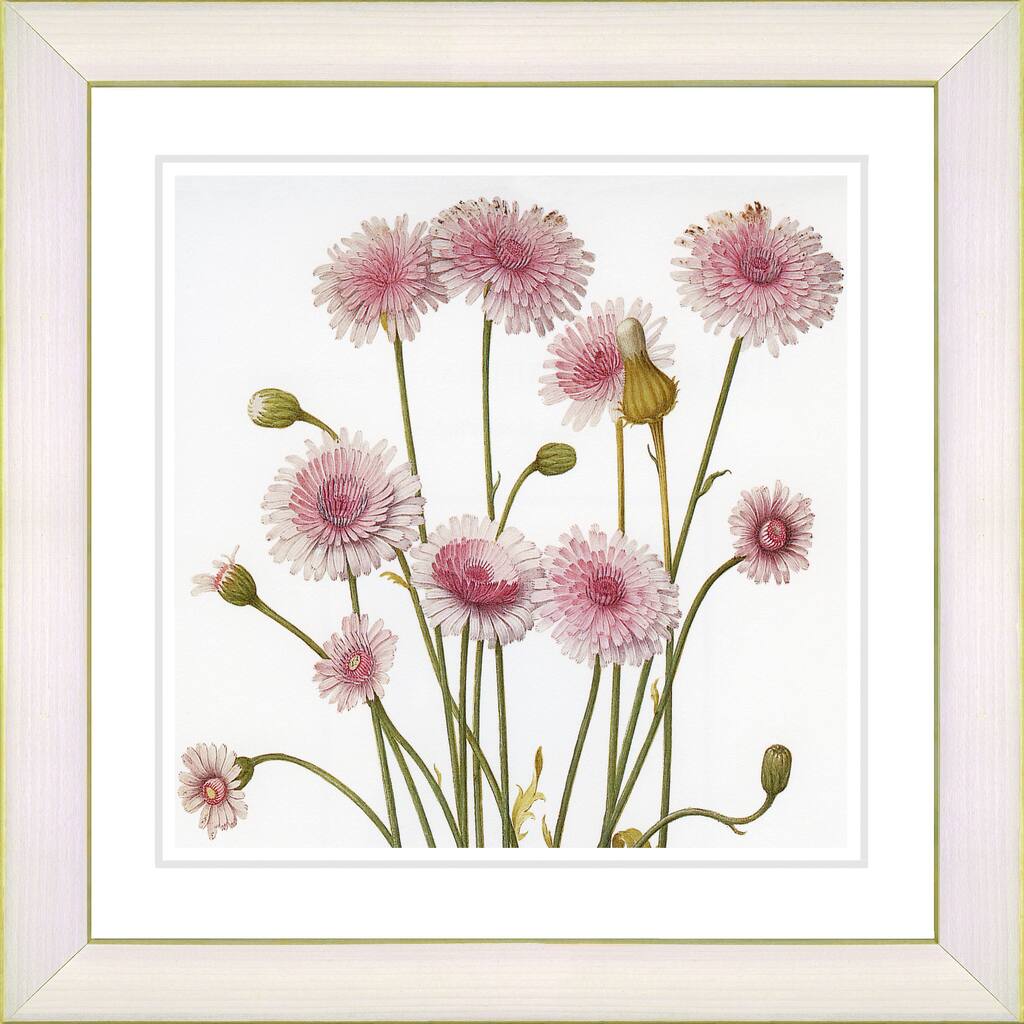 Studio Works Modern 'Vintage Botanical #39' Framed Print