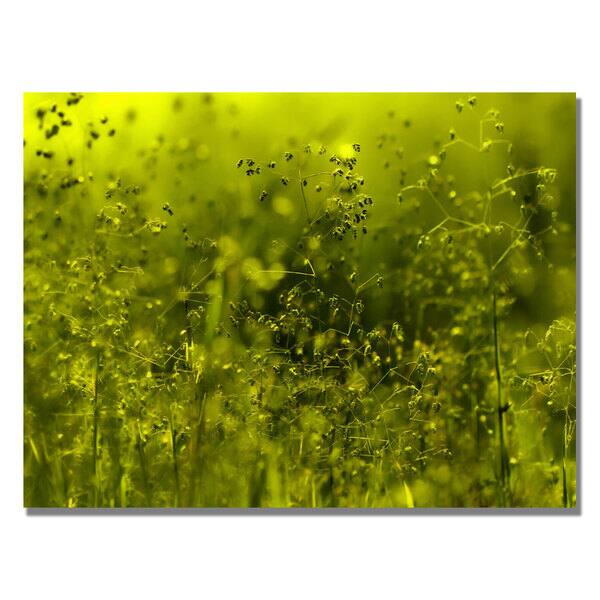 Beata Czyzowska 'Symphony in Green' Canvas Art - - 7628388