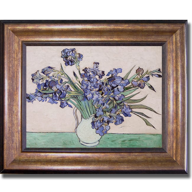 Vincent Van Gogh 'Les Iris' Framed Canvas Art