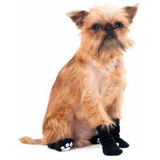 overstock pet supplies