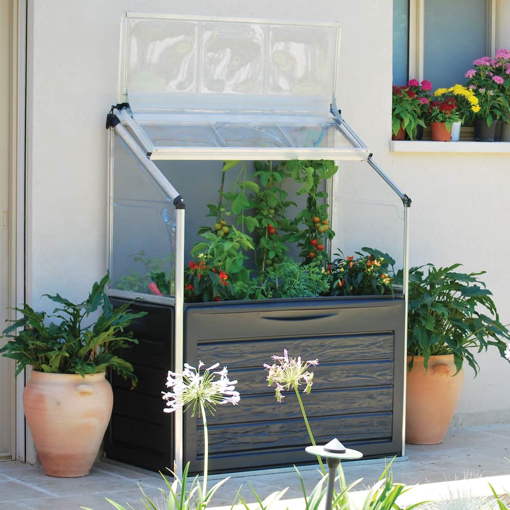 Palram Plant Inn Compact Garden Greenhouse