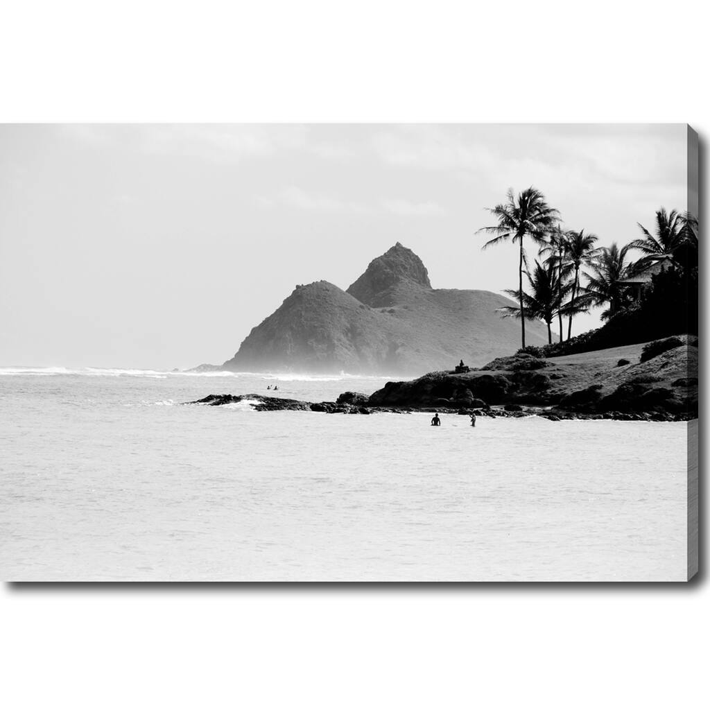 'Hawaii Coastline' Canvas Art - Grey/Black