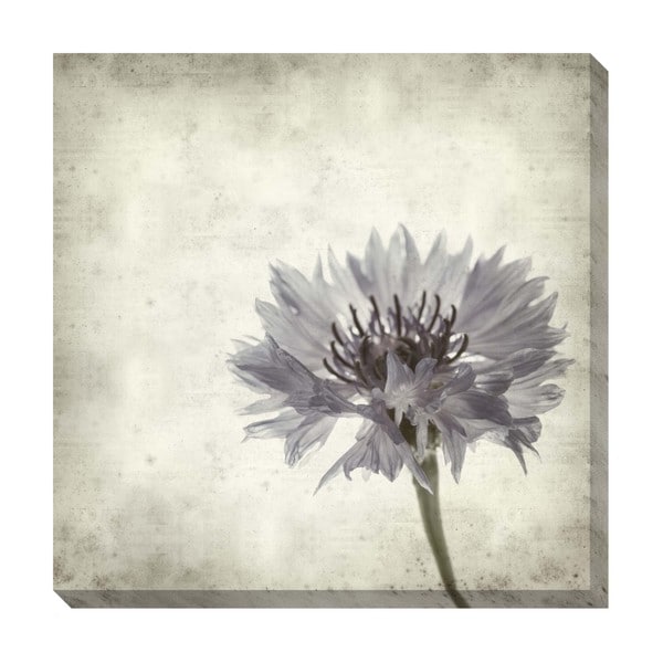 Gallery Direct Floral I Oversized Gallery Wrapped Canvas