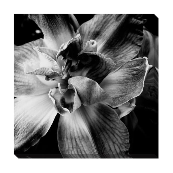 Gallery Direct Black and White Floral I Oversized Gallery Wrapped Canvas