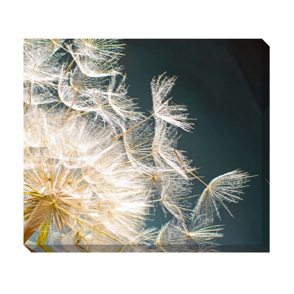 Dandelion Seeds II Oversized Gallery Wrapped Canvas Canvas
