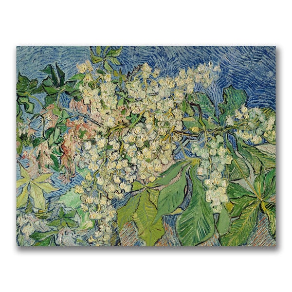 Vincent Van Gogh Blossoming Chesnut Branches Canvas Art   15080506