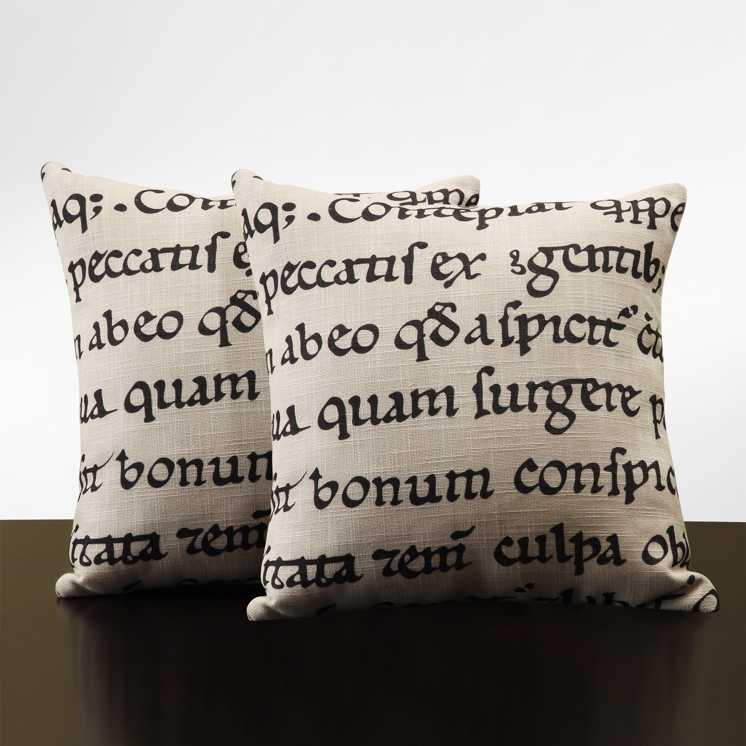 Linen 18 inch Linen Latin Script Throw Pillows (Set of 2)