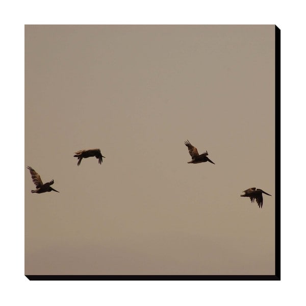 Gallery Direct Pelicans in Flight Oversized Gallery Wrapped Canvas