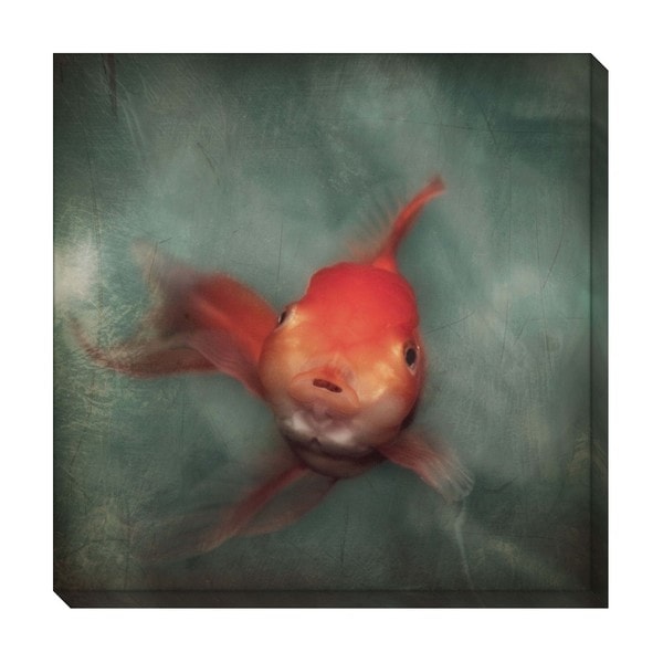 Gallery Direct Goldfish Oversized Gallery Wrapped Canvas Free
