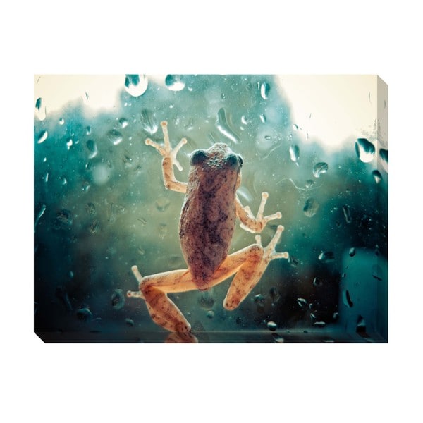 Gallery Direct Climbing Frog Oversized Gallery Wrapped Canvas