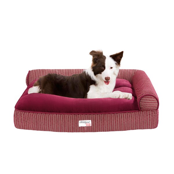 beautyrest dog bed cuddler