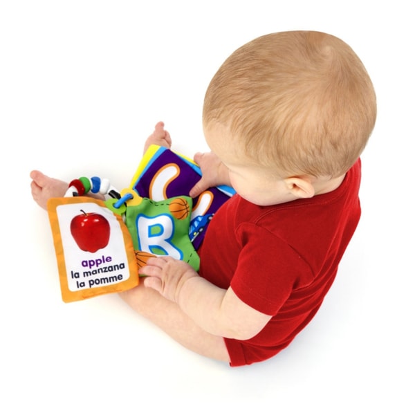 Baby Einstein Shapes And Numbers Discovery Cards Kids II 90547