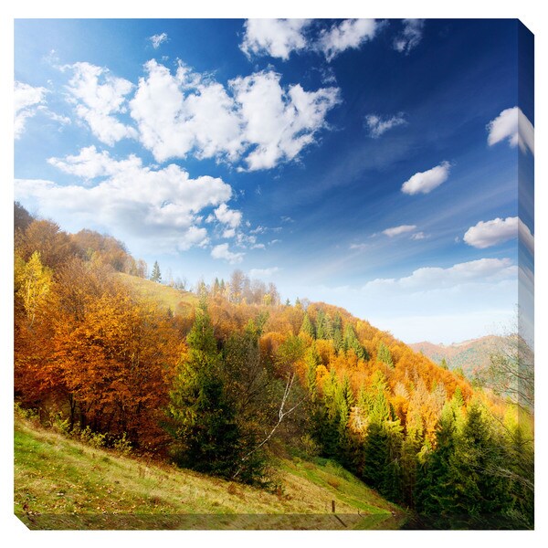 Gallery Direct Fall Oversized Gallery Wrapped Canvas   15151592