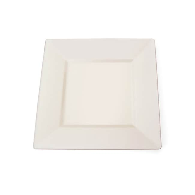 Silver Edge Square Plastic 6.5 inch Ivory Plates (set Of 10)