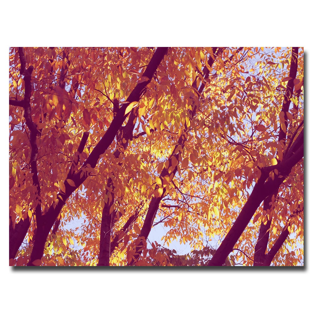 Ariane Moshayedi 'Trees' Canvas Art Canvas