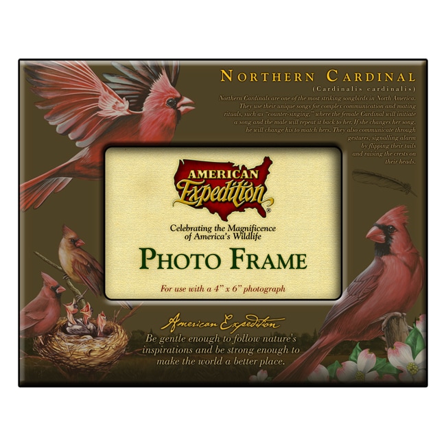 American Expedition Photo Frame (MultiDimensions 10.25 inches high x 8.25 inches long x .75 inches wideWeight 1.25 pounds )