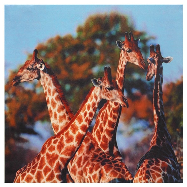 Four Prairie Giraffes Canvas Wall Art  ™ Shopping   The
