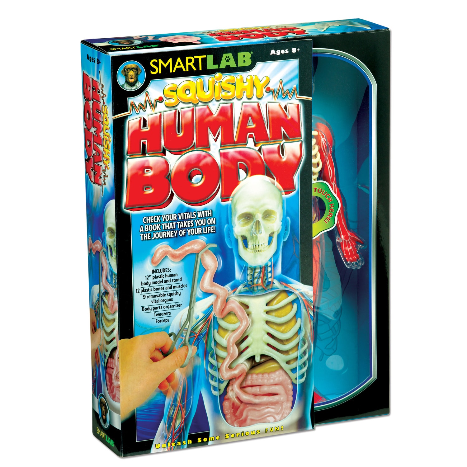 SmartLab Squishy Human Body SL06428 for sale online 