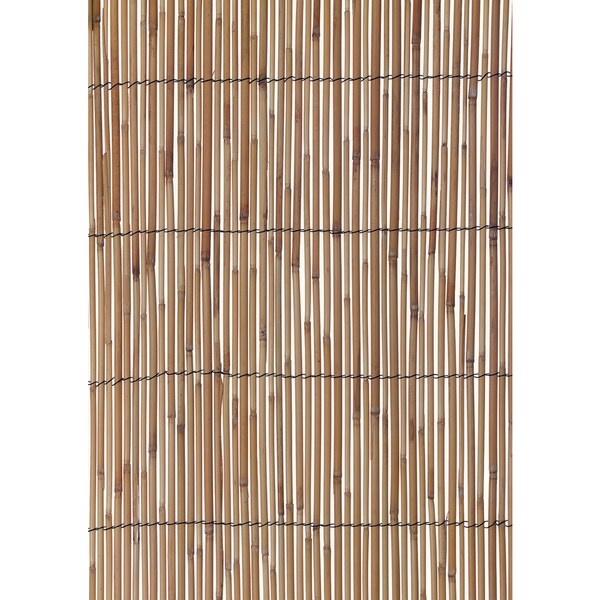 Shop High Natural Reed Fencing Free Shipping Today