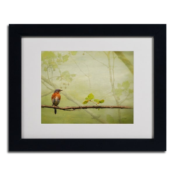 Lois Bryan 'Bluebird in Spring' Contemporary Framed Matted Art Trademark Fine Art Canvas