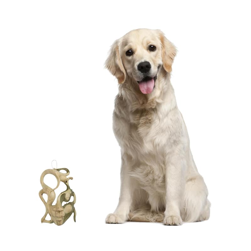 NOVICA Balinese Woman Modern Art Handmade Artisan Designer Home Decor Accent Brown Tan Natural Hibiscus Wood Gift - 0.4