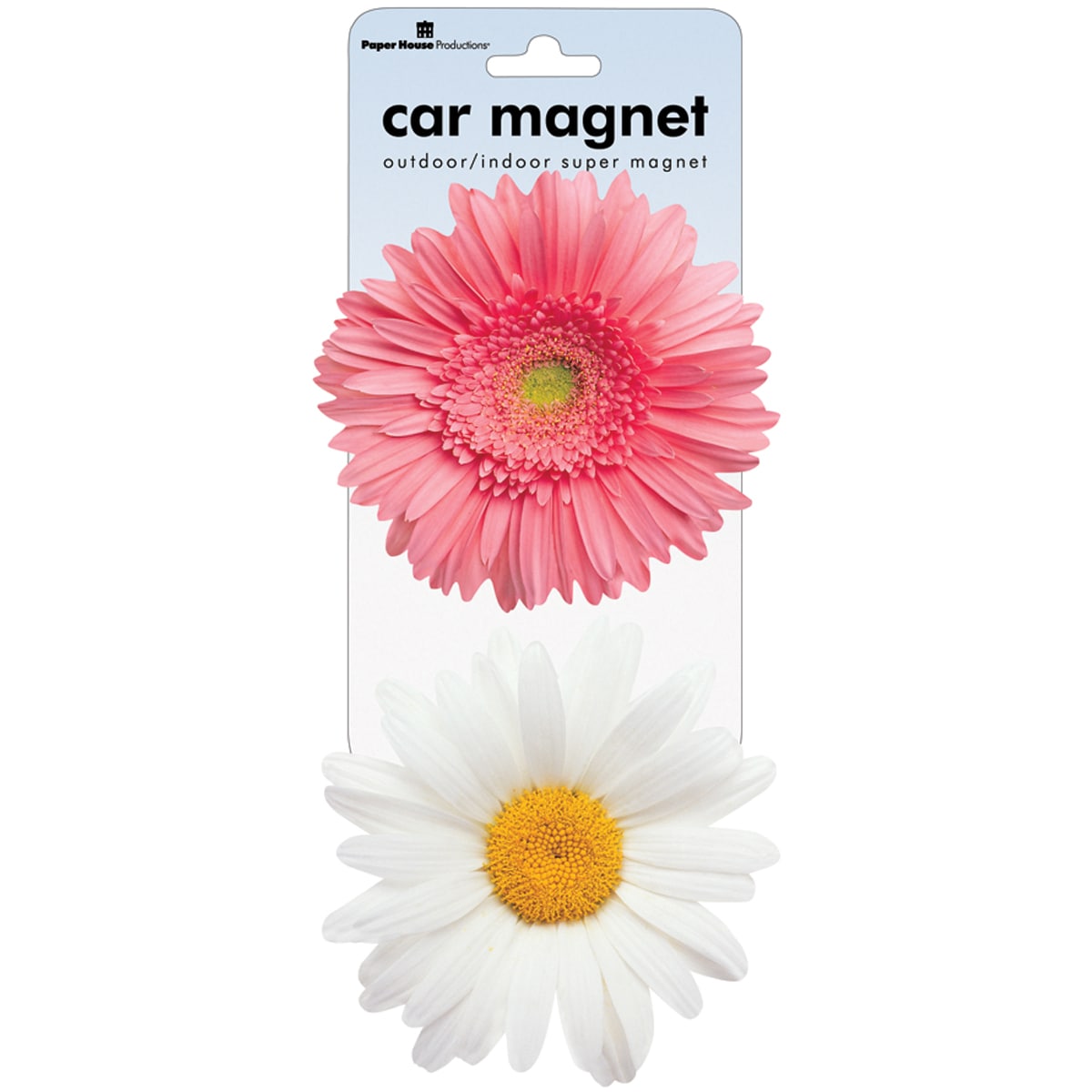 Daisy Car Magnets (Pack of 2) Today 