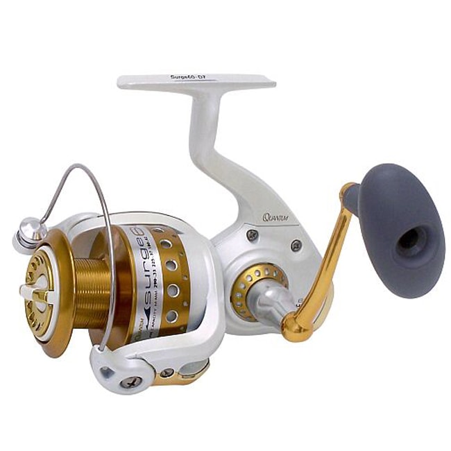 Quantum Surge 80 Saltwater Spinning Reel