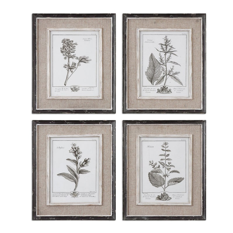 Uttermost Casual Grey Study Framed Art (Set of 4) - White