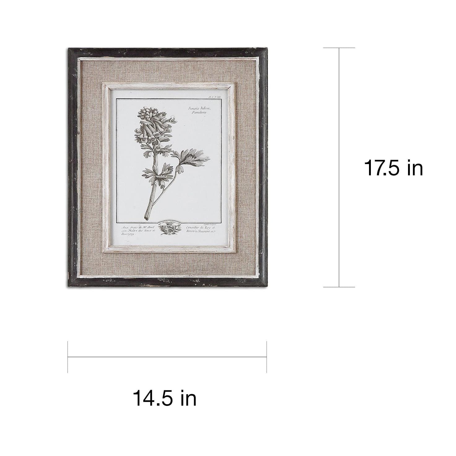 Uttermost Casual Grey Study Framed Art (set Of 4) - White - Bed Bath 