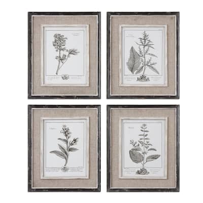 Uttermost Casual Grey Study Framed Art (Set of 4) - White
