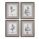 preview thumbnail 1 of 1, Uttermost Casual Grey Study Framed Art (Set of 4) - White