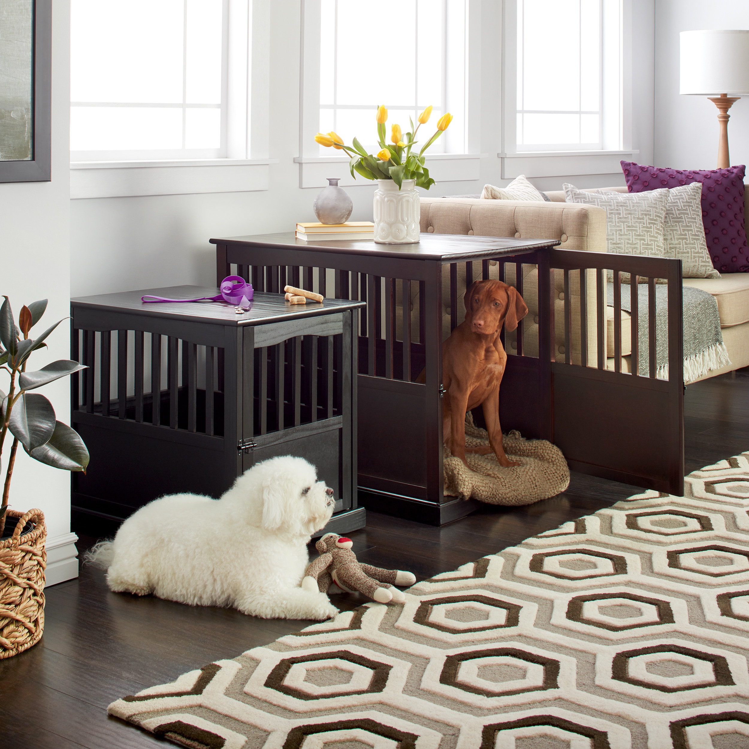 Wooden Pet Crate End Table with Lockable Door