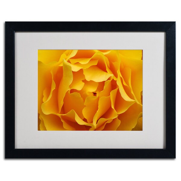 Kurt Shaffer Hypnotic Yellow Rose Horizontal Framed Matted Art