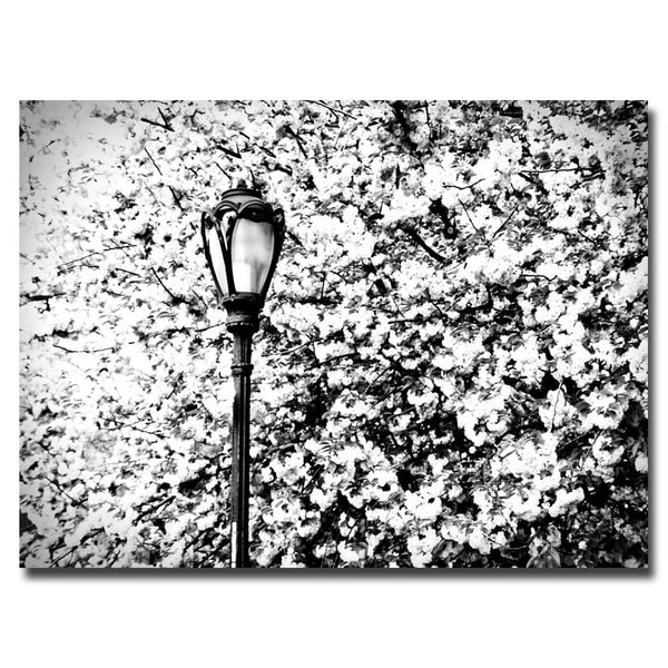 Ariane Moshayedi Streetlamp Canvas Art