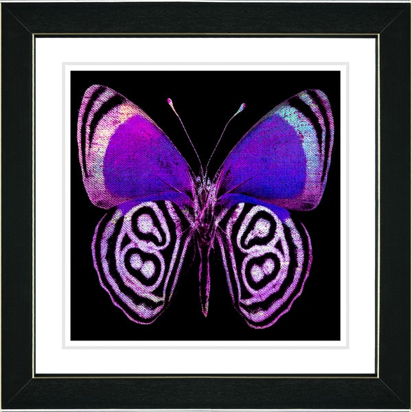 Shop Studio Works Modern 'Zebra Butterfly - Purple' Framed Print - Free ...