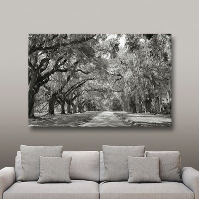 ArtWall Steve Ainsworth 'Live Oak Avenue' Gallery Wrapped Canvas