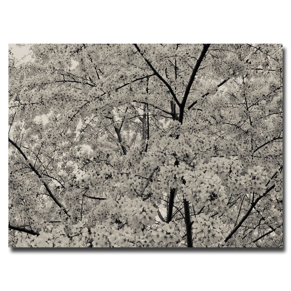 Ariane Moshayedi BW Blossoms Canvas Art