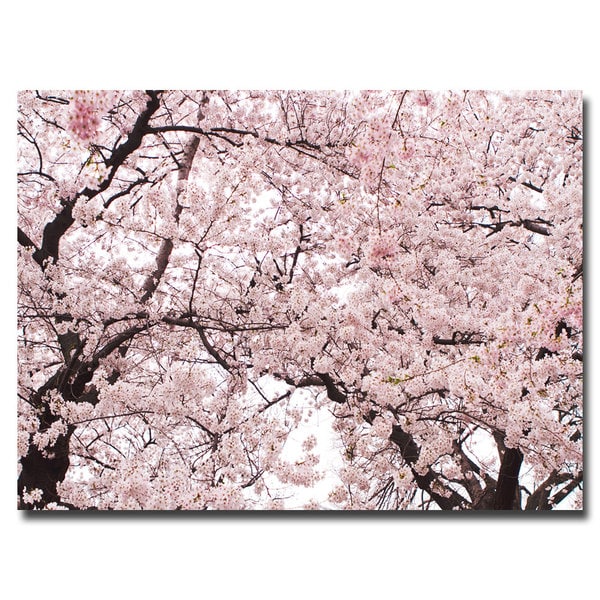 Ariane Moshayedi 'Cherry Blossom Bonanza' Canvas Art Trademark Fine Art Canvas