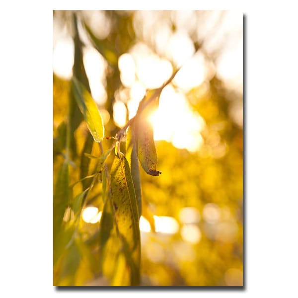 Ariane Moshayedi Green Leaf Canvas Art