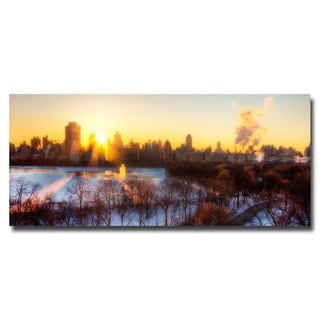 Ariane Moshayedi NYC Skies Canvas Art   15315994  