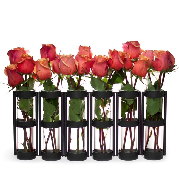 Shop Large Metal Hinged 6glass Vials Vase On Sale Free Shipping