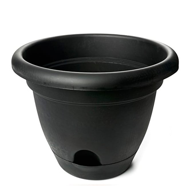 Bloem Lucca Black Self watering Planter