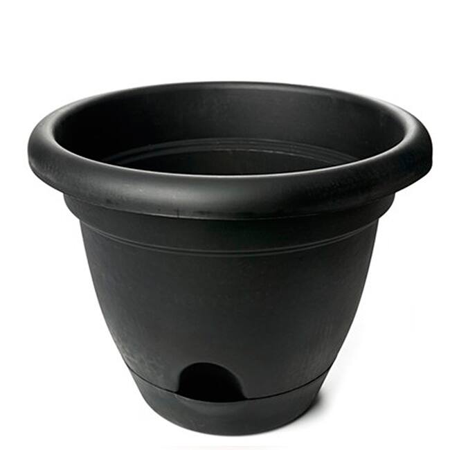 Bloem Lucca Black Self-watering Planter