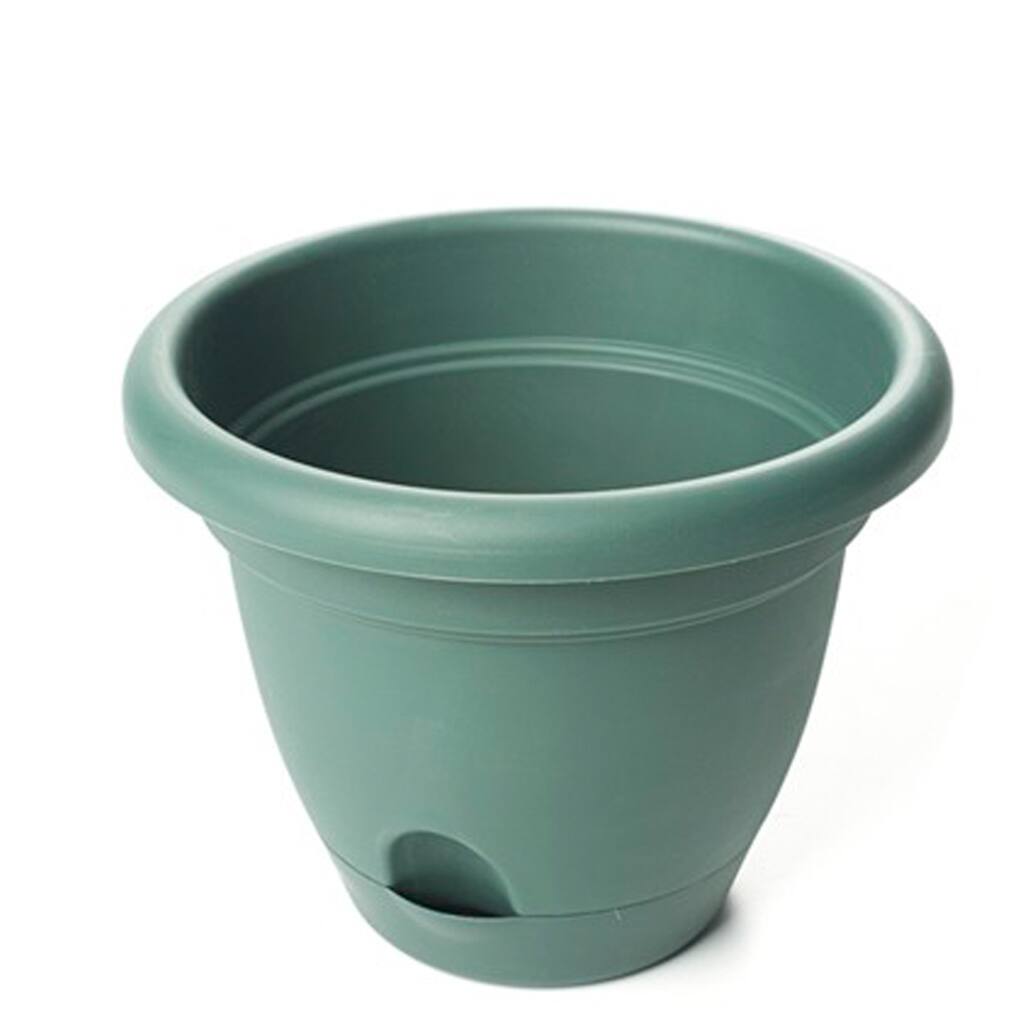 Bloem Midsummer Night Lucca Planter