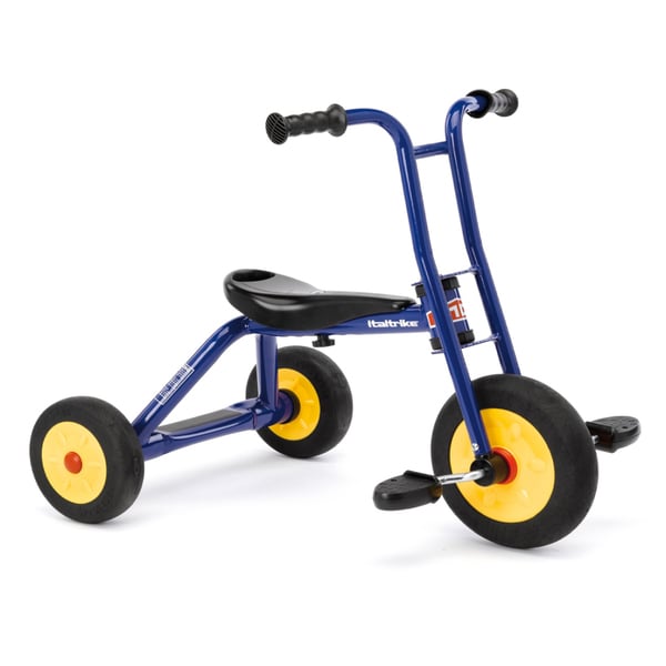 10 inch tricycle