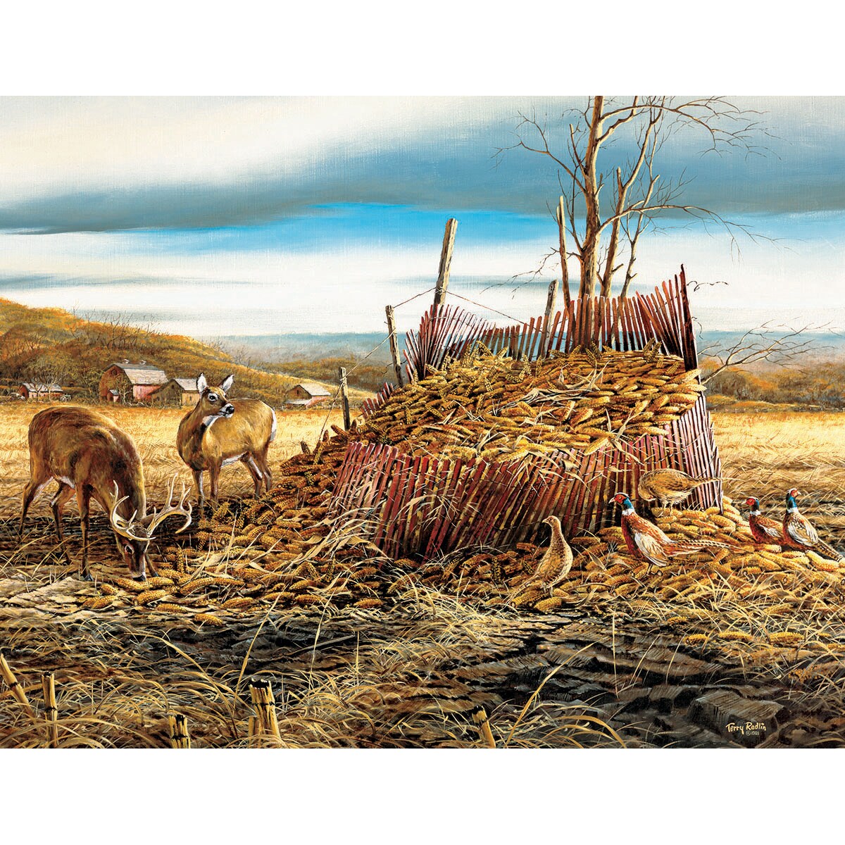 White Mountain Puzzles Vanity Plates – 1000 Piece Jigsaw Puzzle Of U.S. License Plates - View #8