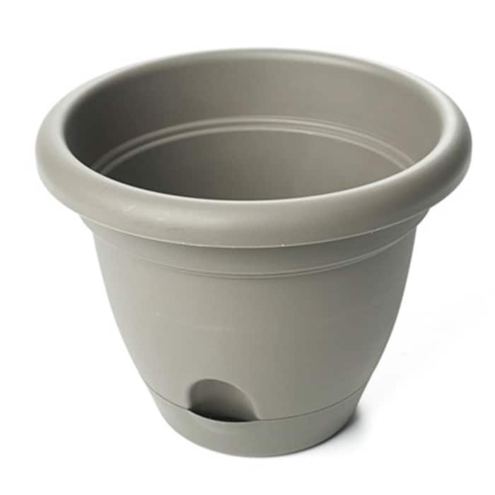 Bloem Lucca Peppercorn Planters (Pack of 12)